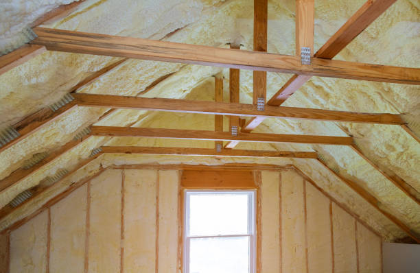 Best Commercial Insulation in Hartsville, SC
