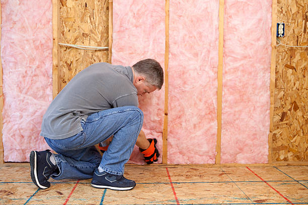 Best Energy Efficiency Insulation in Hartsville, SC
